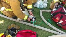 شاهد كيف تم إنقاذ كلب أليف من داخل مبنى يحترق.. لقطات مؤثرة