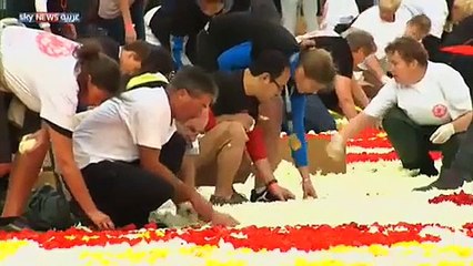 تعرفوا على البساط الوردي.. سجادة مصنوعة من آلاف الزهور