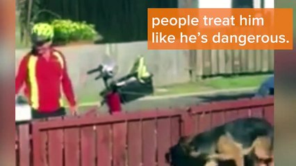 فيديو طريف لـ صداقة غريبة من نوعها بين كلب وساعي بريد