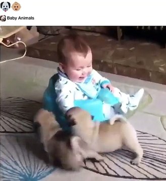 فيديو طفل يعشق الحيوانات منذ نعومة أظافره