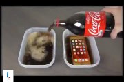 فيديو منافسة بين samsung s6 و iphone 6 أمام الكوكاكولا..لن تصدق ما حدث!