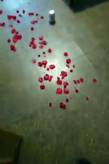 فيديو طريف كلب يحضر مفاجأة لصاحبه في الفالنتاين