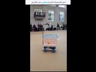 بالفيديو حتى السمك يمكن أن يمشي على الأرض