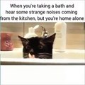 بالفيديو شكلك عندما تسمع صوت قادم من المطبخ وأنت تستحم لوحدك في المنزل