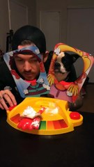 فيديو مضحك لشاب يلعب مع كلبه لعبة قبضة الكيك