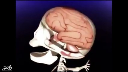 فيديو يكشف ماذا يحدث للطفل عندما يتم هزه بقوة؟ معلومات علمية مبسطة لتوعية الأهل بمخاطر المزاح السيئ