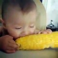 فيديو طفل لطيف يأكل الذرة وهو نائم
