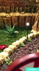 فيديو بيت الأحلام الذي يتمنى كل عشاق الحلويات والشوكولاتة العيش بداخله