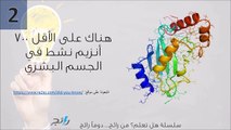 فيديو ثالث سلسلة من أغرب الحقائق عن جسم الإنسان