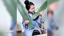 امرأة تتناول نباتاً ساماً خلال بث مباشر على الإنترنت.. شاهد ماذا حدث!