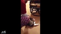 فيديو مضحك لـ قط يتظاهر بالموت لكي يتهرب من النزهة