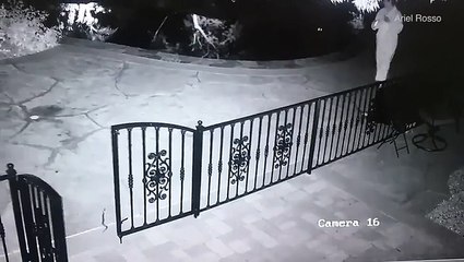 فيديو لسيدة تواجه موقفاً مرعباً بعد أن أمسكت ثعباناً بالخطأ