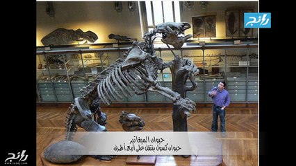 فيديو أكثر حيوانات ماقبل التاريخ رعباً وفتكاً