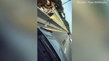 شاهد بالفيديو.. ثعبان يروع قائد سيارة على طريق سريع