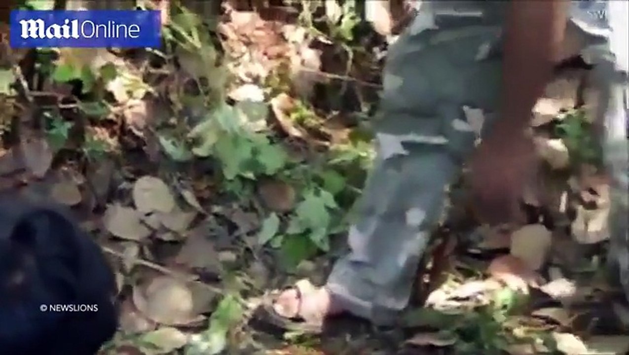 مشهد لا يُصدق.. شاب يخاطر بحياته ويسقي أفعى "كوبرا" الماء من كوب