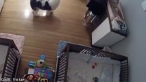 فيديو طفل في 9 من عمره ينقذ أخاه الرضيع من الموت في اللحظة الأخيرة