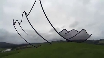 بالفيديو: هل تصدق أن هذه الصورة حقيقية!