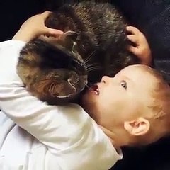 طفل يروي حكاية قبل النوم لقطته.. فيديو لطيف للغاية!