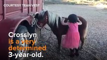 فيديو طريف لطفلة تنجح بعد المحاولة 16 في ركوب مهرتها الصغيرة