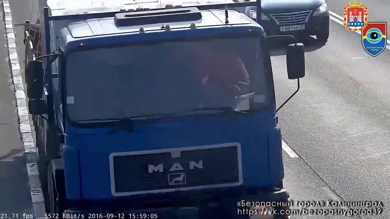 فيديو رجل يخاطر بحياته لإنقاذ قطة في عرض الطريق السريع!