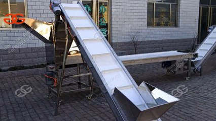 garlic peeler machine video