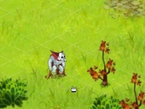 Dofus transformation