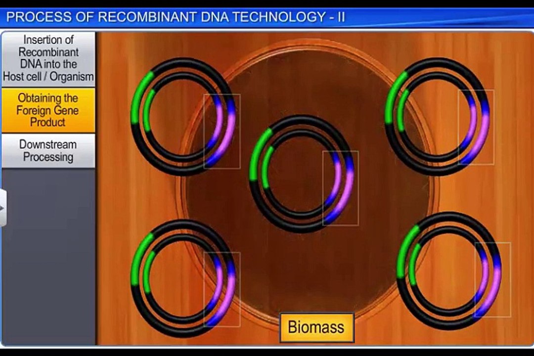 (4)CBSE Class 12 Biology, Biotechnology-Principles And Processes -5, Process of Recombinant DNA Tech