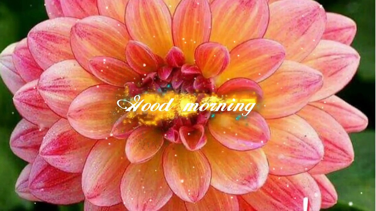 Good morning WhatsApp status 2018.☀☀☀