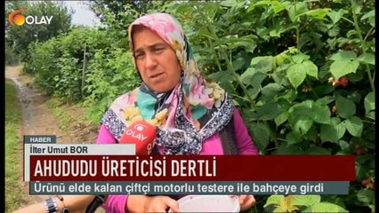 Ahududu üreticisi dertli