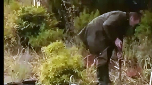 Im Labyrinth des Schweigens ganzer film teil 2