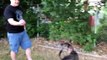 Owner pranks confused dog with hilarious water balloon variation of viral #whatthefluff challenge