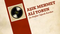 Aşık Mehmet Ali Torun - Şu Dağlar Ağardı Kardan (45'lik)