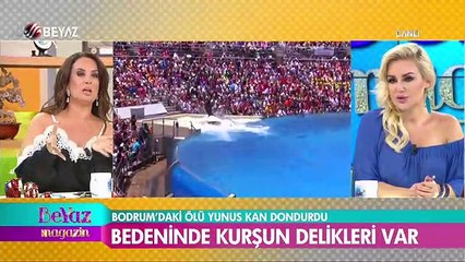 Bodrumdaki ölü yunus kan dondurdu