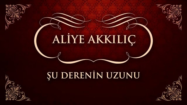 Aliye Akkılıç - Şu Derenin Uzunu (45'lik)