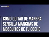 Cómo quitar de manera sencilla manchas de mosquitos de tu coche