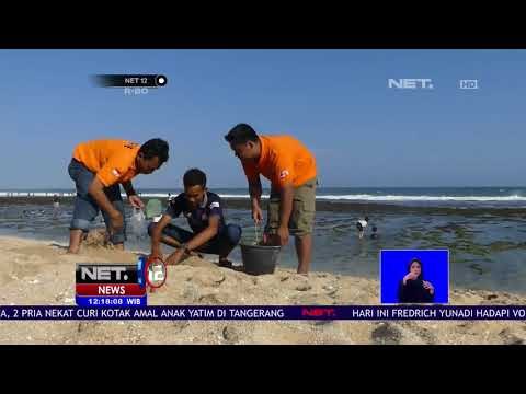84 Wisatawan Tersengat Ubur-ubur -NET12