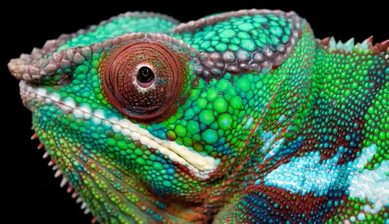 Are we Aliens - Humans are not from Earth theory