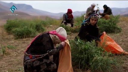 Raho Birah E08 سریال راه و بیراه قسمت هشتم