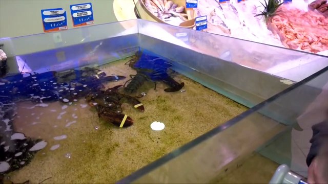 ELLE EST MORTE DE RIRE !!!! - VLOG MUM & BABY ALLO MAMAN