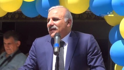 Türkiye'nin İlk Kedi Havuzu Van'da Açıldı