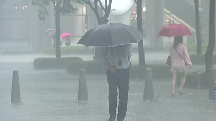 [날씨] 주말부터 전국 장마권...게릴라성 호우 또 온다 / YTN