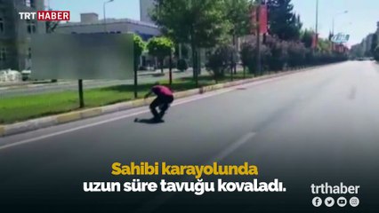 Motosiklet sürücüsü karayolunda tavuk kovaladı