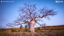 Increíbles imágenes en time-lapse del cielo de Kimberley