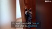Flora, a gata ninja que sabe como entrar num quarto