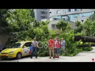 Ora News - Tiranë, pema zë poshtë tre taksi pranë Bllokut