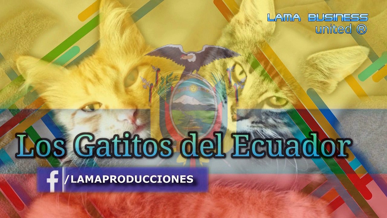 PRIOSTES DE MI TIERRA Los Gatitos del Ecuador, Música Nacional