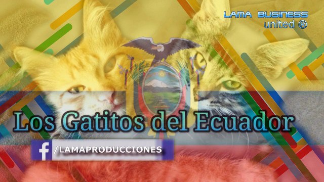 LAGATITA Los Gatitos del Ecuador, Música Nacional