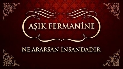 Aşık Fermani - Ne Ararsan İnsandadır (45'lik)