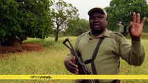 Mozambique: 40 young rangers recruited to curb poaching