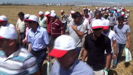 Konya’da Tarla Günü etkinliği